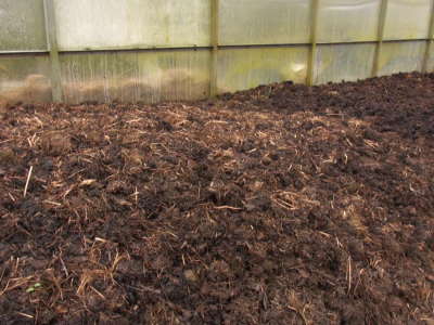 Uzgoj kalifornijskih glista