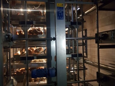 Uzgoj koka Uzgoj koka