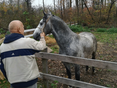 Uzgoj konja i jahanje čuvaju od zaborava