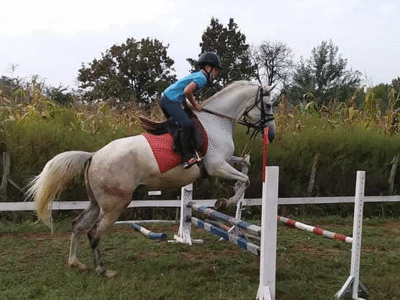 Uzgoj konja i jahanje čuvaju od zaborava