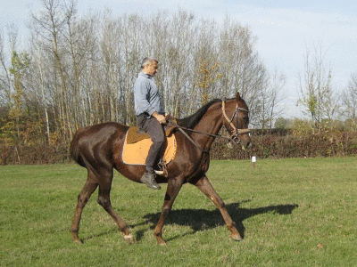 Uzgoj konja i jahanje čuvaju od zaborava