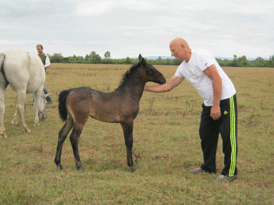 Uzgoj konja i jahanje čuvaju od zaborava