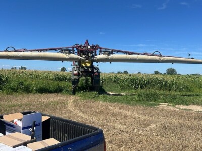 Uzgoj kukuruza kokičara na OPG-u Pravda u Soljanima