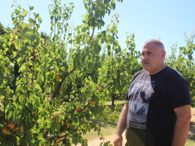 Uzgoj marelica u Aljmašu, Poljoprivredni obrt Škobić