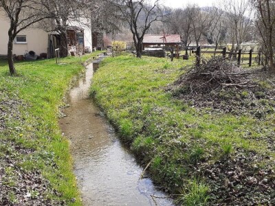 Uzgoj pastrve - tvrtka V.I.R.I.B.U.S.