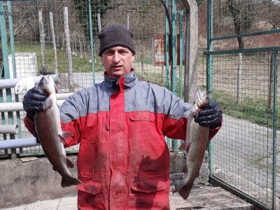 Uzgoj pastrve - tvrtka V.I.R.I.B.U.S.