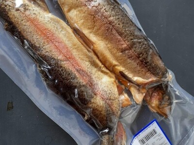 Uzgoj pastrve - tvrtka V.I.R.I.B.U.S.