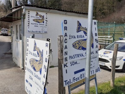 Uzgoj pastrve - tvrtka V.I.R.I.B.U.S.