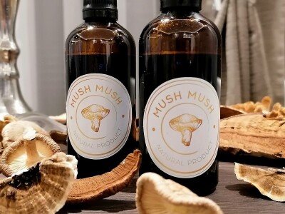 Uzgoj pečuraka Uzgoj pečuraka