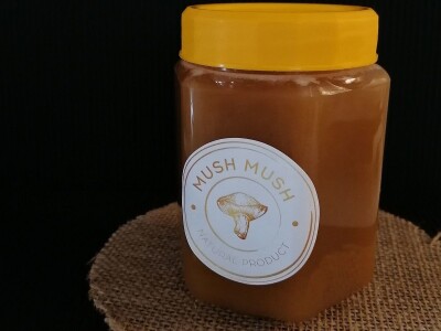 Uzgoj pečuraka Uzgoj pečuraka