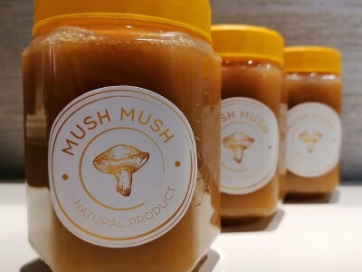 Uzgoj pečuraka Uzgoj pečuraka