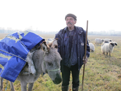 Stoka u neuslovnim okolnostima