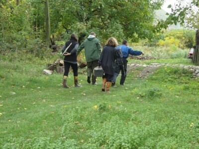 Uzorci riba se odnose Uzorci riba se odnose