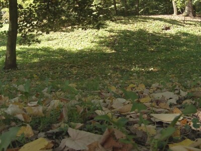 Uzorkovanje zemljišta