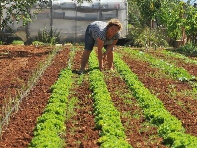 UZORNE SEOSKE ŽENE  - Rozalinda Banić kandidatkinja za najuzorniju hrvatsku seosku ženu budi se prije ptica!