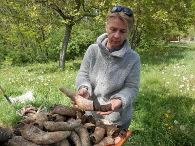 Biodinamičko gospodarstvo Biomara Iličić Biodinamičko gospodarstvo Biomara Iličić