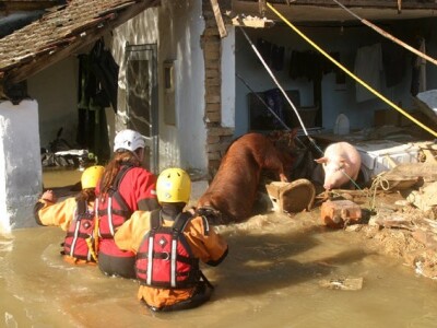 Gdje zapinje sanacija tala uništenih poplavama?