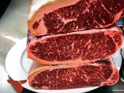 Vaca Gallega – Buey Gallego