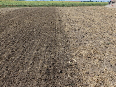 Väderstad Dan Polja 2024