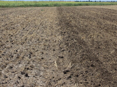 Väderstad Dan Polja 2024