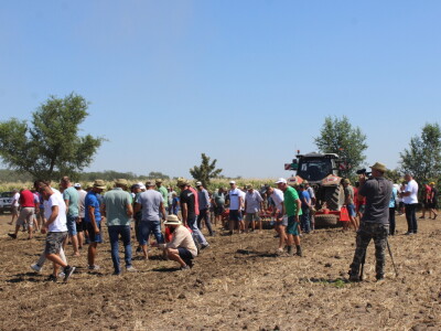 Väderstad Dan Polja 2024