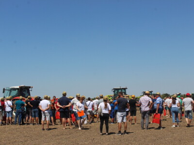 Väderstad Dan Polja 2024