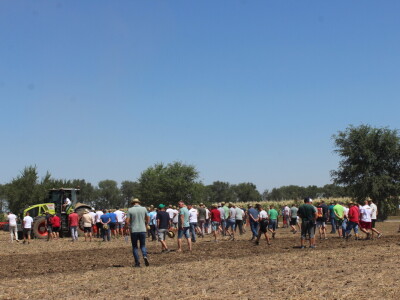 Väderstad Dan Polja 2024