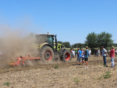 Väderstad Dan Polja 2024