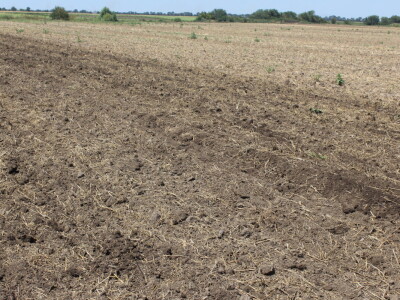 Väderstad Dan Polja 2024