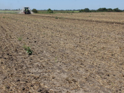 Väderstad Dan Polja 2024