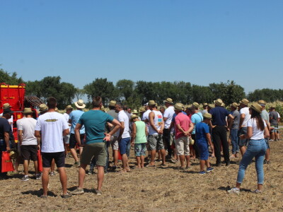 Väderstad Dan Polja 2024