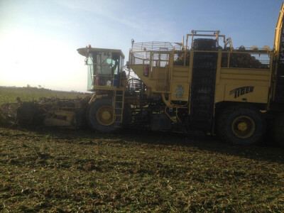 Vađenje šećerne repe Vađenje šećerne repe