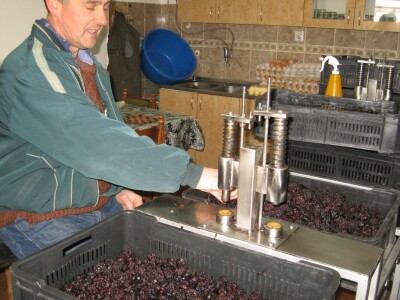 Suve šljive - čista matematika