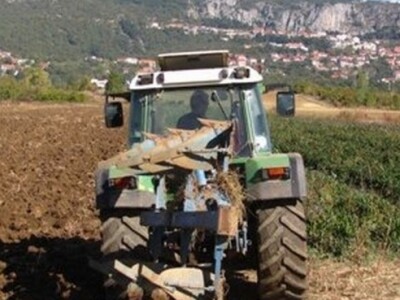 Vađenje krumpira (BPZ Imoćanka)