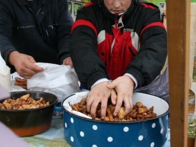 Slavonska grickalica