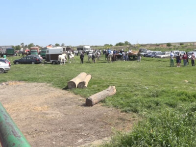 Vašar u Rumi, maj 2018. Vašar u Rumi, maj 2018.