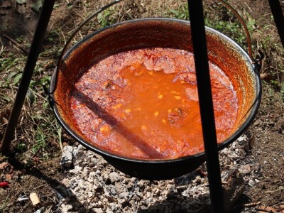 Vašarski kup u lovu ribe udicom na plovak