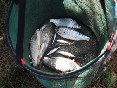 Vašarski kup u lovu ribe udicom na plovak