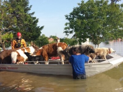 Gdje zapinje sanacija tala uništenih poplavama?