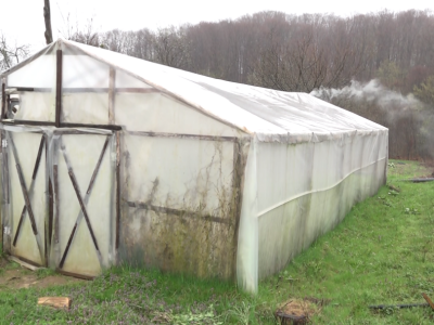 Već deceniju proizvodi rasadu: Idealno vrijeme za sadnju u plastenike