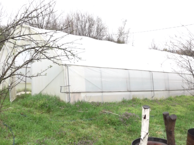 Već deceniju proizvodi rasadu: Idealno vrijeme za sadnju u plastenike