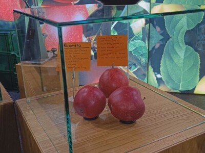 Veća ulaganja u poljoprivredu