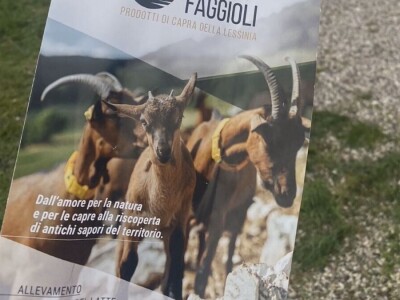 Veća ulaganja u poljoprivredu