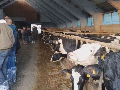 Veća ulaganja u poljoprivredu