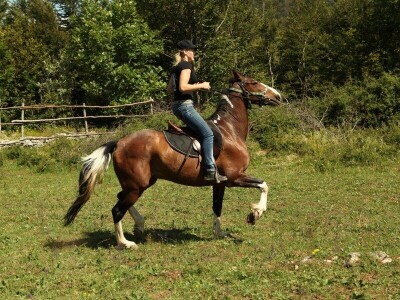 Vegium d.o.o. Karlobag