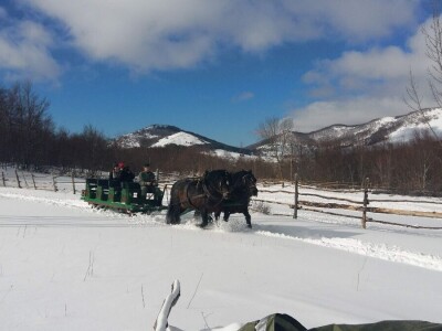 Vegium d.o.o. Karlobag