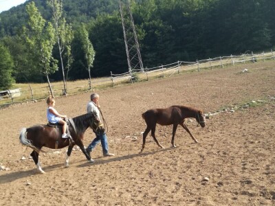 Vegium d.o.o. Karlobag