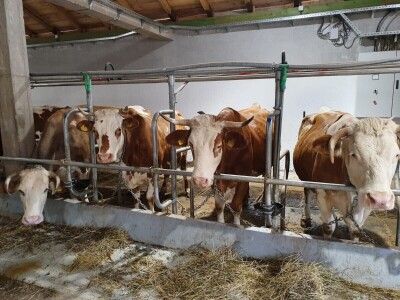 Vegium d.o.o. Karlobag