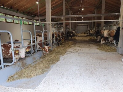 Vegium d.o.o. Karlobag