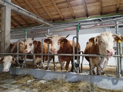 Vegium d.o.o. Karlobag